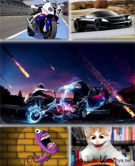 ������������� ������ ���� ����� ��� �������� ����� (2011) �305