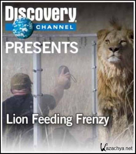  .  / Feeding Frenzy. Lion (2008) HDTVRip