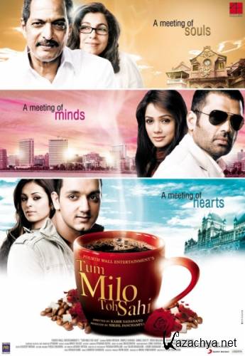   ... /   / Tum Milo Toh Sahi (2010) DVDRip