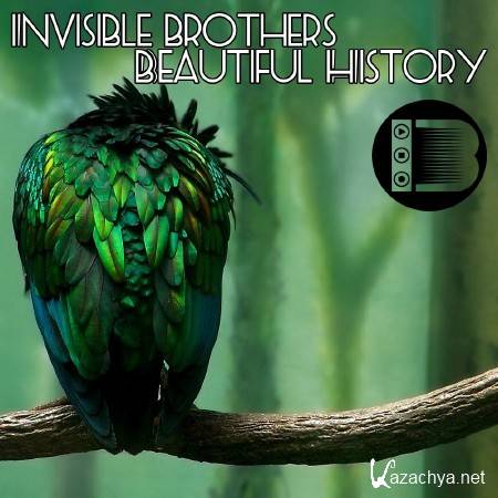 Invisible Brothers - Beautiful History (2011)