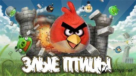   Angry Birds  PC, Mac, iPad, Android, Simbian, Maemo