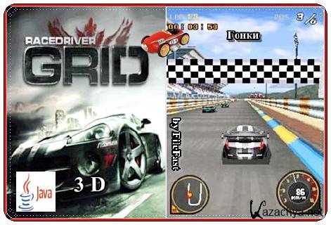 Race Driver Grid 3D /   3D