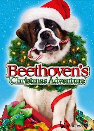    / Beethovens Christmas Adventure (2011/DVDRip/ENG)