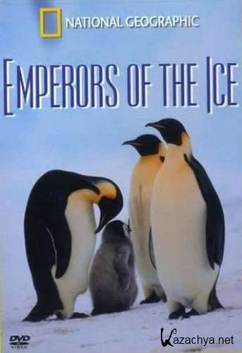   / Emperors of the ice (2004) DVDRip