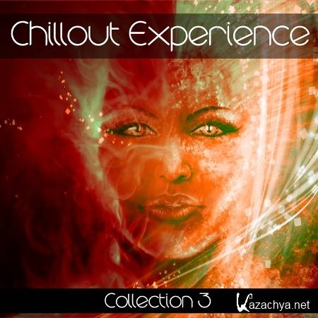 VA - Chillout Experience Collection Vol. 3 2011, MP3