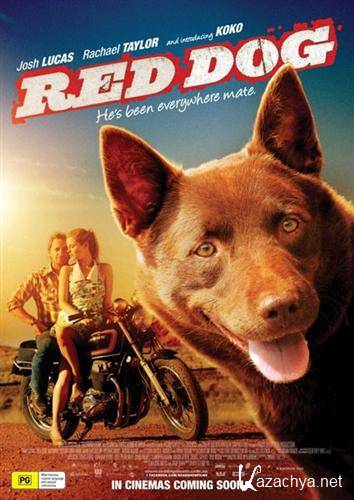   / Red Dog (2011) HDRip