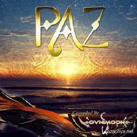 VA - Paz (2011, MP3)
