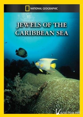    / Jewels of the Caribbean sea (1994) DVDRip