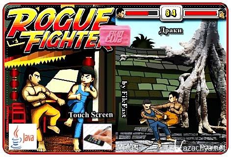 Rogue Fighter /  
