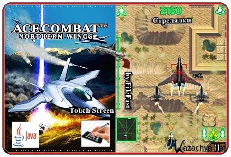 Ace Combat: Northern Wings /  .  