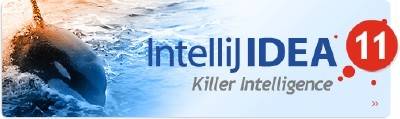 JetBrains IntelliJ IDEA 11 Ultimate Edition for Windows
