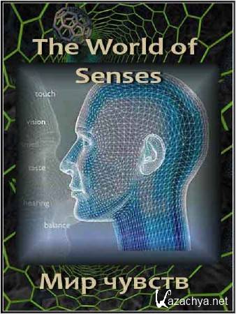   / The World of Senses (2010) SATRip
