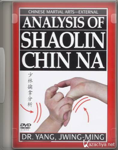    a / Analysis of Shaolin Chin (2004) DVD5