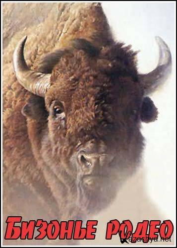   / Buffalo Rodeo (2008) SATRip