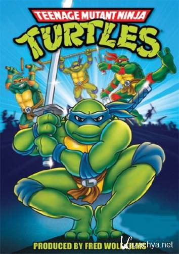    / Teenage Mutant Ninja Turtles / 10  193  (1987-1996) DVDRip