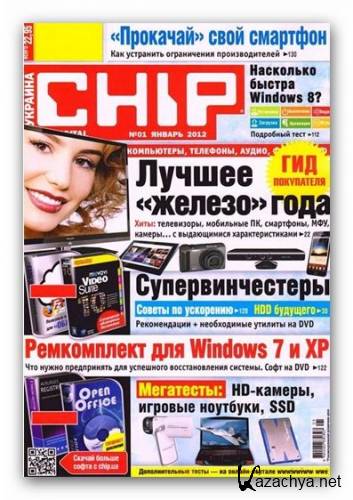 Chip 1 ( 2012 / pdf)