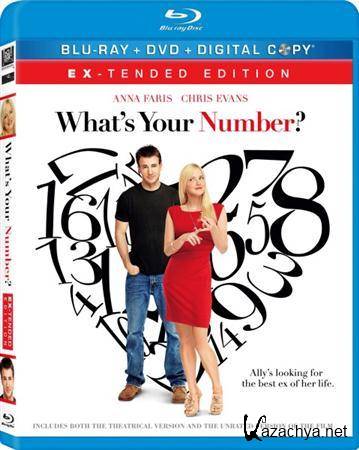   ? / What's Your Number? [EXTENDED] (2011/HDRip)