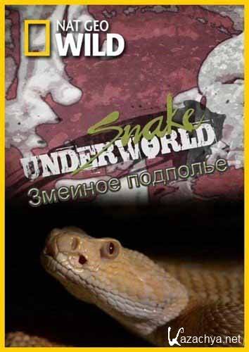   / Snake Underworld (2010) HDTVRip