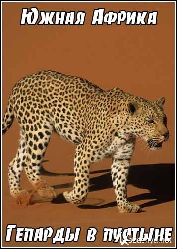  .    / Southern Africa. Deserts of the cheetah (2008) IPTVRip