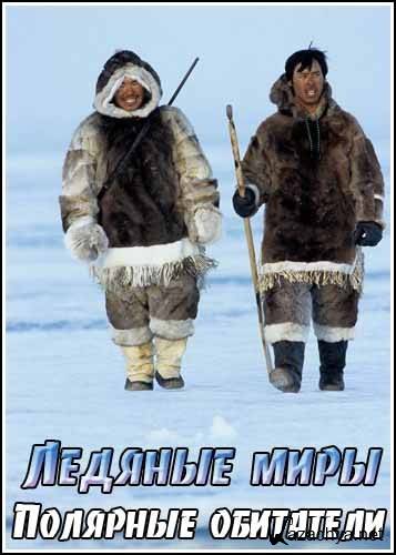  .   / Ice Worlds. Polar people (2001) IPTVRip