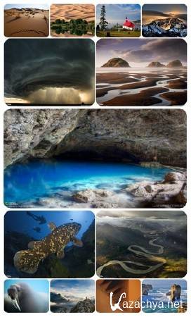 Обои национального красоты 2012 Обои национального красоты 2012