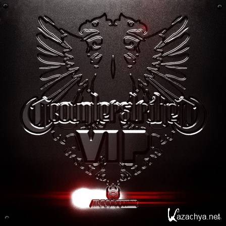 Counterstrike - VIP (2011)