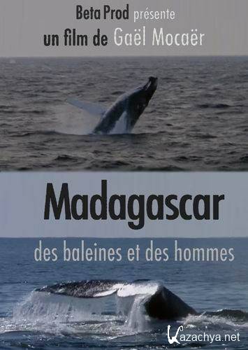 :    / Madagascar: Des Baleines Et Des Hommes (2009) SATRip