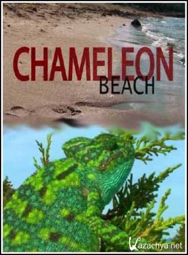   / Chameleon Beach (2010) HDTVRip