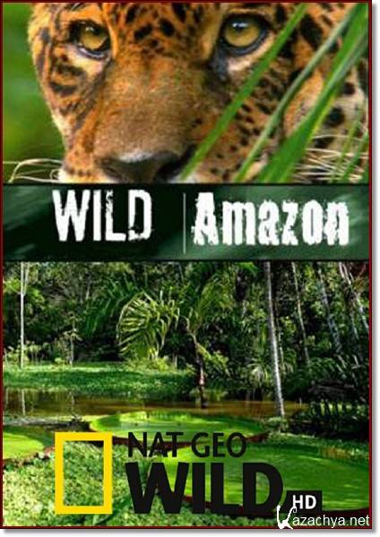    / Wild Amazon / 2   2- (2010/ HDTVRip/ 1080i)
