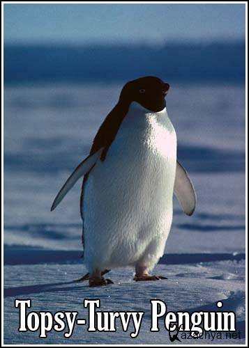   / Topsy-Turvy Penguin (2005) SATRip