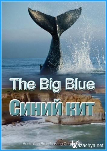   / The Big Blue (2006) HDTVRip