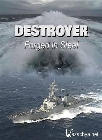 .    / Destroyer. Forged In Steel (2004) SATRip