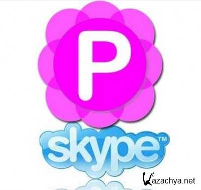 Pamela for Skype Basic v4.8.0.74