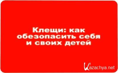 �����: ��� ����������� ���� � ����� ����� (2010) DVDRip