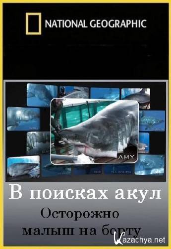   :  -    / Shark men. Beware (2012/IPTVRip)