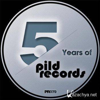 5 Years Of Pild Part 1 (2012)