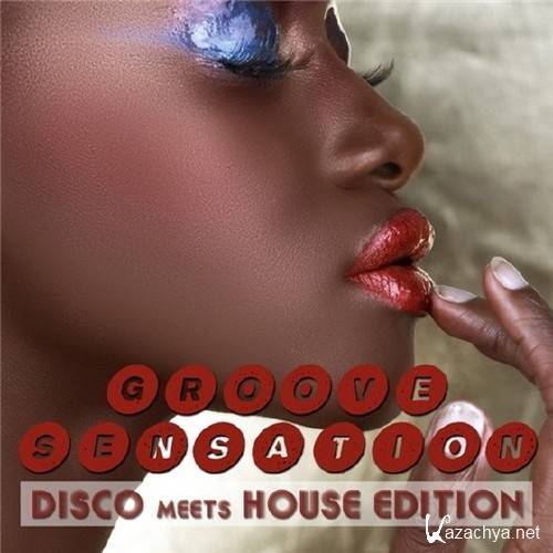 Groove Sensation Vol. 3: Disco Meets House Edition (2011) 