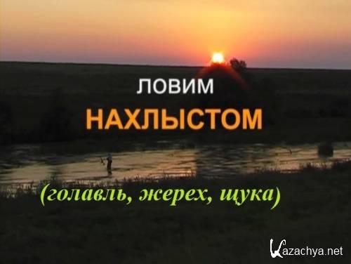 ����� ��������� (�������, �����, ����) (2011) DVDRip