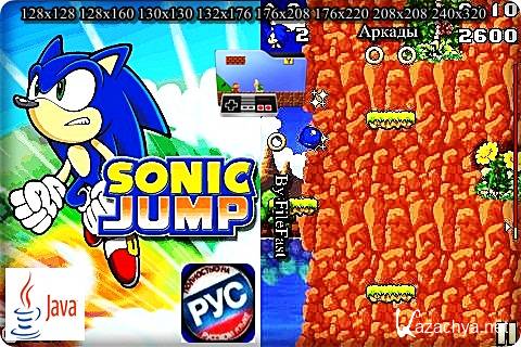 Sonic Jump+RU /   