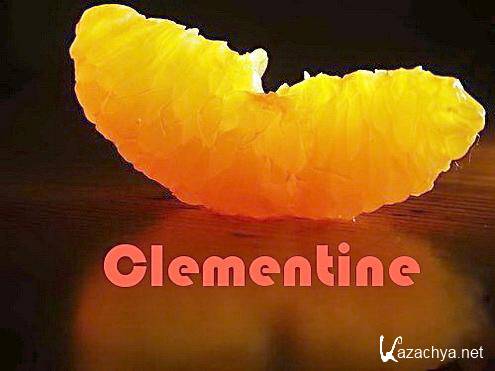 Clementine v.1.0.1