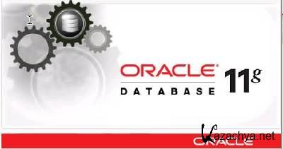 Oracle Database 11g Release 2 Express Edition + 
