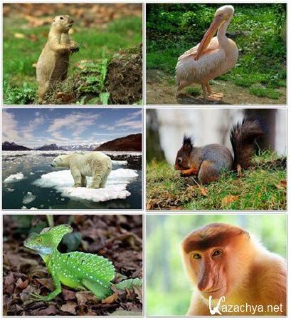 ���� � ���� �������� �������� ����� 50