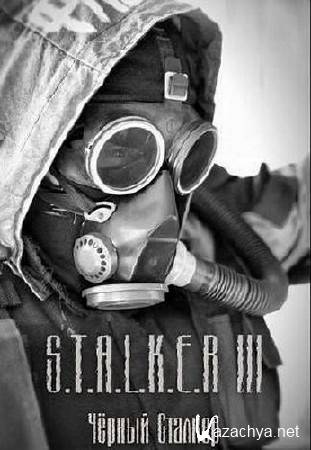(Stalker) S.T.A.L.K.E.R. -  : ׸  (2010) {P} [RUS]