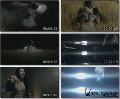 Evanescence - My Heart Is Broken , DVDRip, (2011)