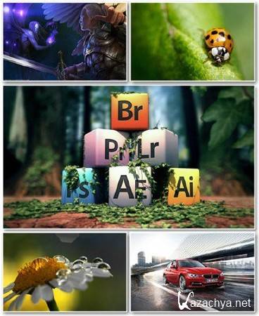 Best HD Wallpapers Pack �490