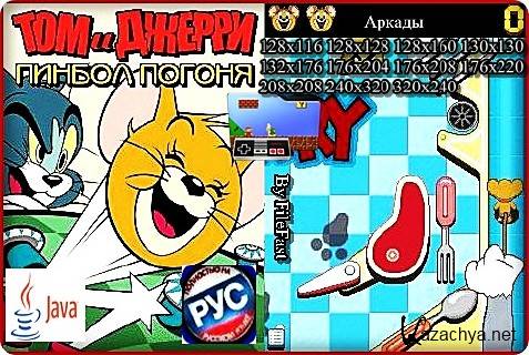 Tom and Jerry Pinball Pursuit+RU /   :  