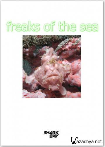   / Freaks of the Sea (2009) IPTV