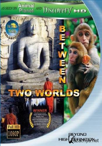  :    / Wild Asia: Between Two Worlds (2010) BDRip