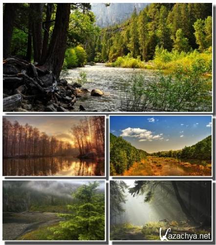 ������ ���������� ������� (����� 13)