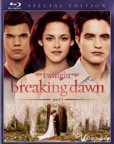 . . :  1 / The Twilight Saga: Breaking Dawn - Part 1 (2011) HDRip